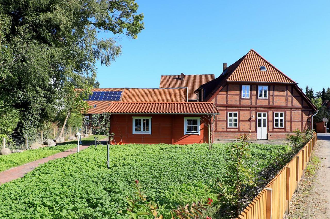 Alte Schmiede Bleckede Apartman Kültér fotó